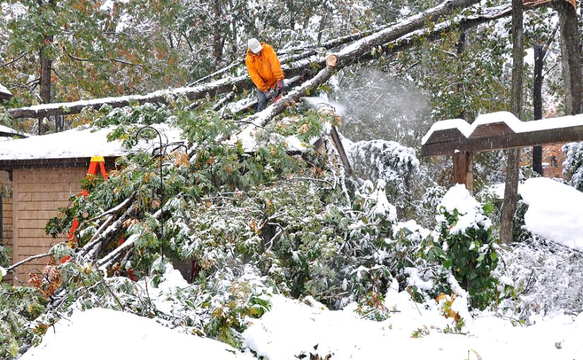 Man on roof cutting fallen tree with chainsaw.