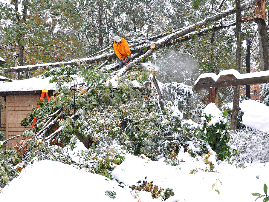 Man on roof cutting fallen tree with chainsaw.