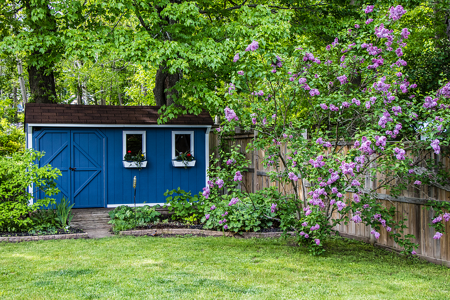 Detached structure in a backyard surrounded by trees.