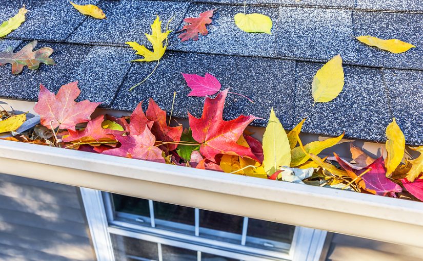 Colorful leaves filling up a home's gutter.