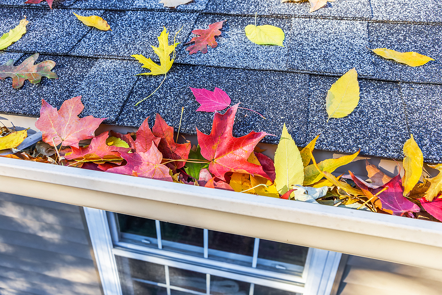 Colorful leaves filling up a home's gutter.